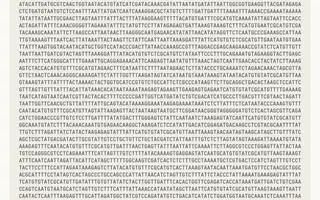 Claude a trouvé quelque chose dans l’ADN : intéressant, oui, « nouveau CRISPR », pas encore